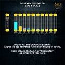 13897-2.jpg