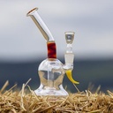 11177-2.jpg
