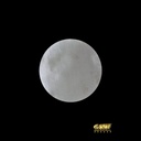 607-6.jpg