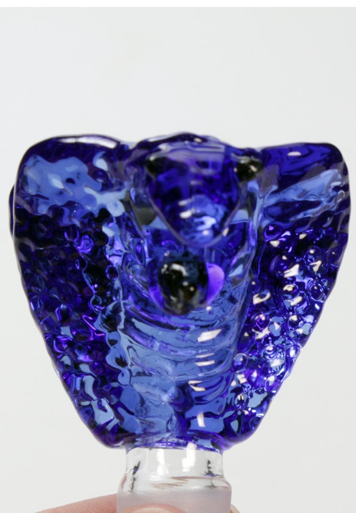 2978-5.jpg