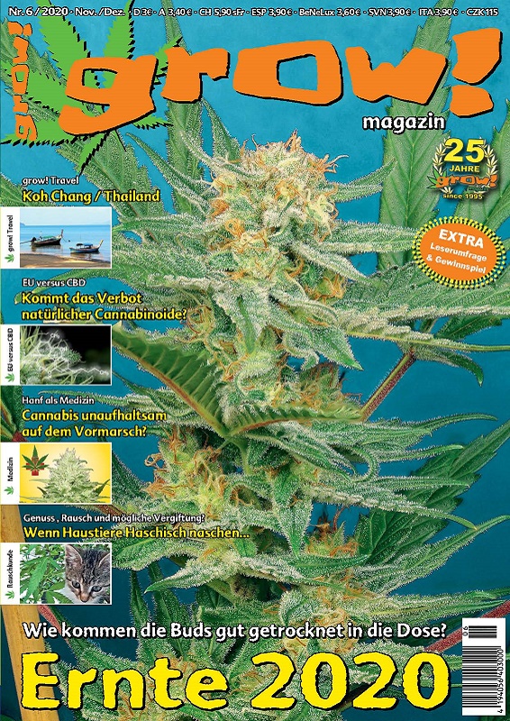 grow! -  Magazin Ausgabe