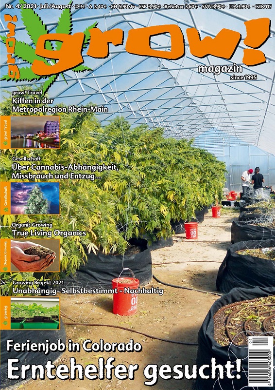 grow! -  Magazin Ausgabe