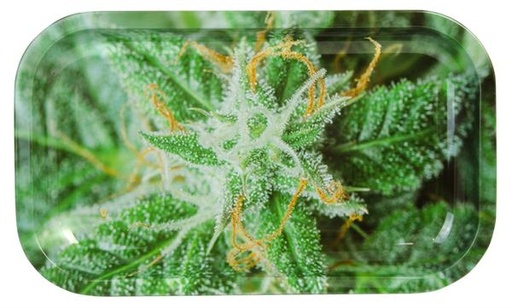 Dreh-Tablett - Rolling Tray, SMALL, "Buds AK-47"