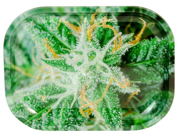 V-Syndicate - Rolling Tray - Strains AK47- Mini