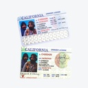 V-Syndicate - Grinder Card - Cheech & Chong / LICENSE