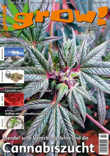 grow! -  Magazin Ausgabe